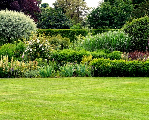 Schön angelegter Garten mit diversen Pflanzen