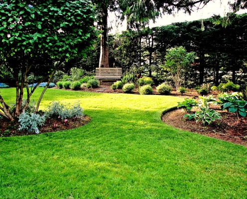 Angelegter Garten mit geschwungener Rasenfläche